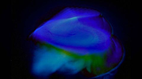Gammaray 2012 · Lichtskulptur, Photographie 12