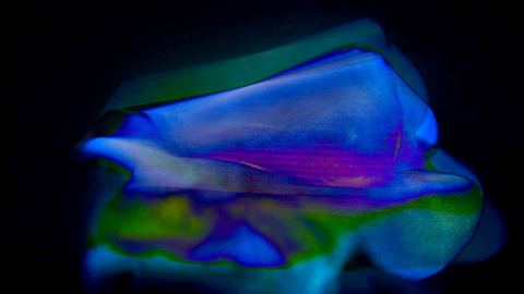 Gammaray 2012 · Lichtskulptur, Photographie 14