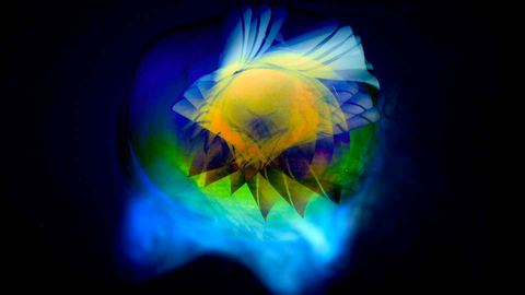 Gammaray 2012 · Lichtskulptur, Photographie 45 von 48