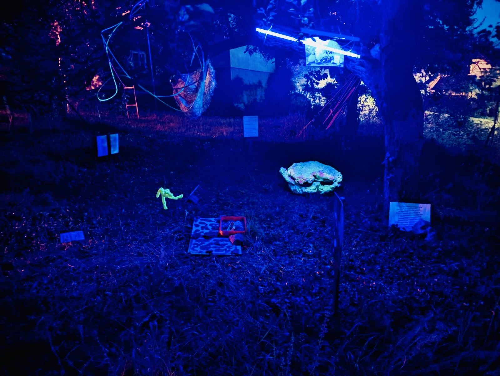 Der Marillengarten unter Schwarzlicht – UV-reaktive Pigmente auf Schaumobjekten, Nachtansicht, Mailüfterl 2025