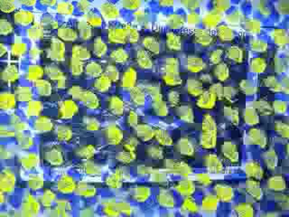 Standbild aus dem Clip Orte erinnern 3 (320 × 240)
