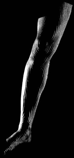 Schichten · Arm