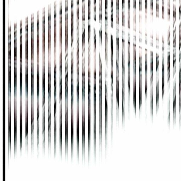Zeilenauslesung · Vario — RAUM 11, Markus Wintersberger 2011/2012