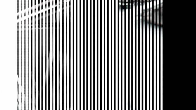 Scan · Vario · Zeilenauslesung des rotierenden Modells — RAUM 11, Markus Wintersberger 2011/2012