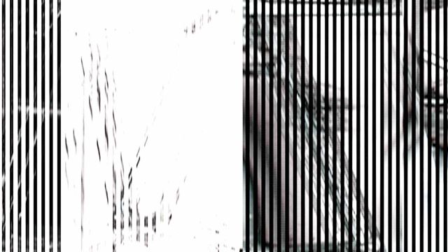 Scan · Vario · Zeilenauslesung des rotierenden Modells — RAUM 11, Markus Wintersberger 2011/2012