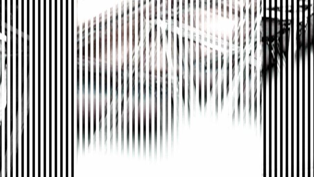 Scan · Vario · Zeilenauslesung des rotierenden Modells — RAUM 11, Markus Wintersberger 2011/2012