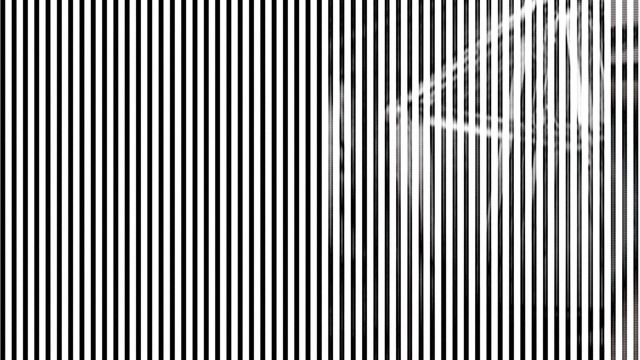 Scan · Vario · Zeilenauslesung des rotierenden Modells — RAUM 11, Markus Wintersberger 2011/2012