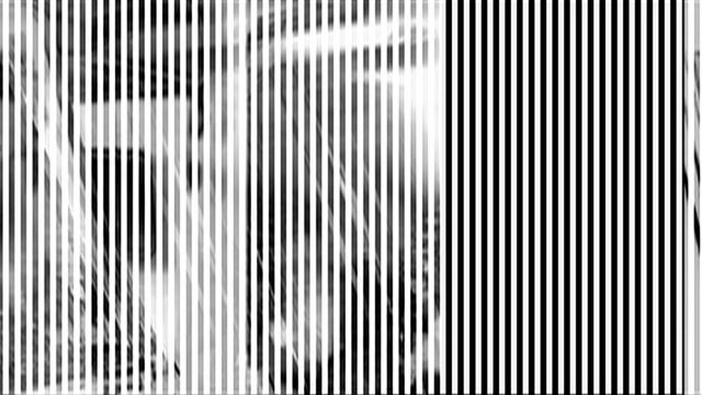 Scan · Vario · Zeilenauslesung des rotierenden Modells — RAUM 11, Markus Wintersberger 2011/2012